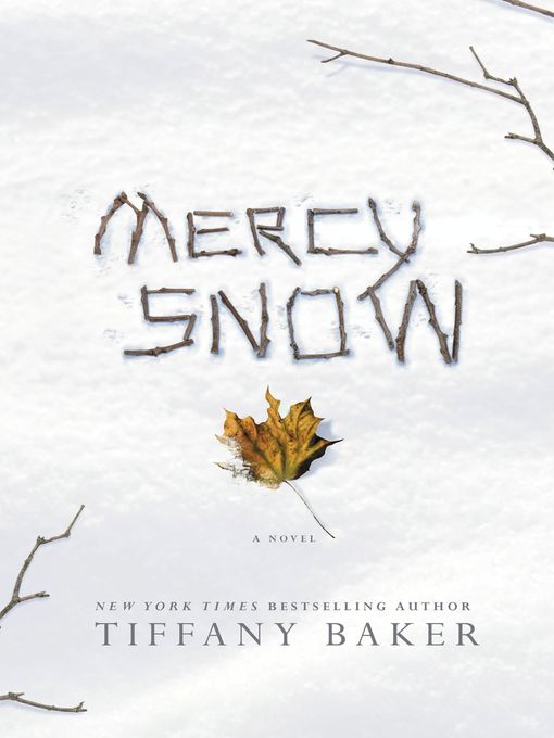 Cover image for Mercy Snow